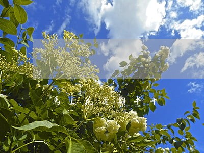 马上花逾期半年