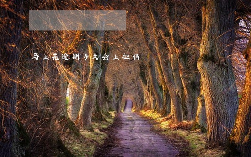 马上花逾期多久会上征信 马上花逾期多久会上征信