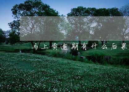 马上货逾期有什么后果 马上货逾期有什么后果