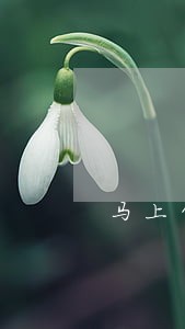 马上贷上逾期两天