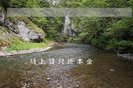 马上贷只还本金 马上贷只还本金