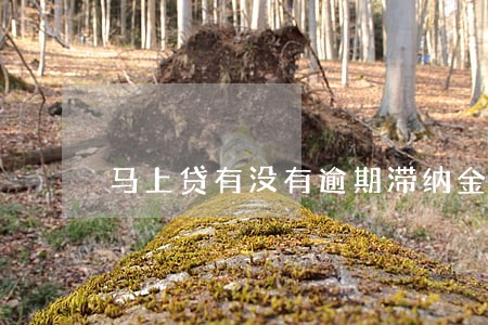 马上贷有没有逾期滞纳金 马上贷有没有逾期滞纳金
