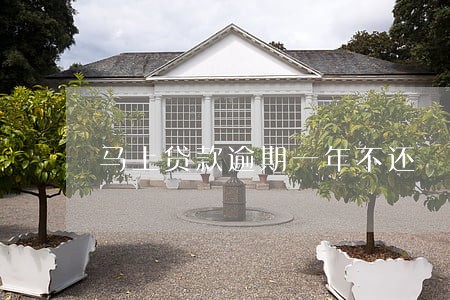 马上贷款逾期一年不还 马上贷款逾期一年不还