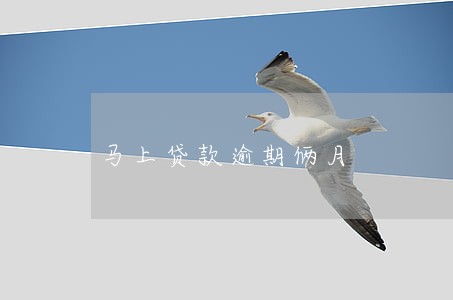 马上贷款逾期俩月 马上贷款逾期俩月
