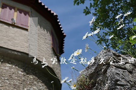 马上贷款逾期多久会上诉 马上贷款逾期多久会上诉