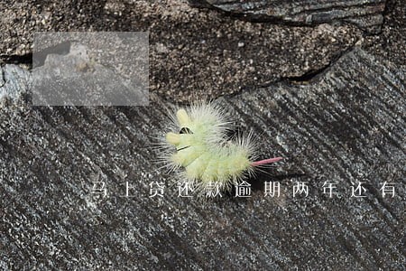 马上贷还款逾期两年还有什么后果 马上贷还款逾期两年还有什么后果
