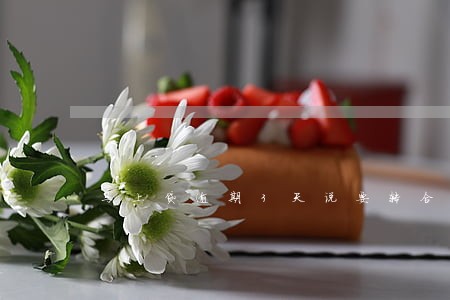 马上贷逾期3天说要转合同