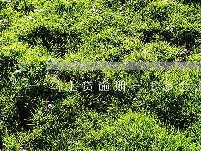马上贷逾期一千多会上门吗