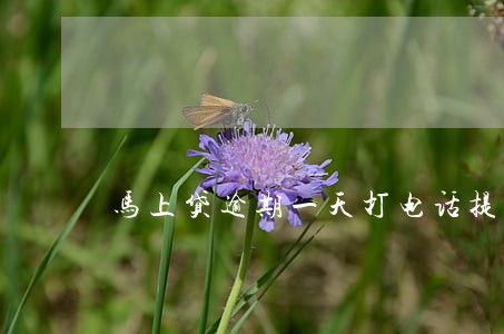 马上贷逾期一天打电话提醒么 马上贷逾期一天打电话提醒么