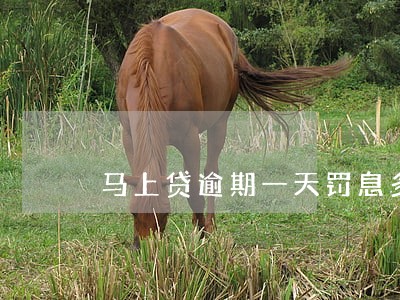 马上贷逾期一天罚息多少 马上贷逾期一天罚息多少