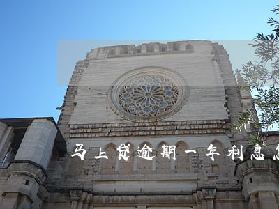 马上贷逾期一年利息怎么算 马上贷逾期一年利息怎么算