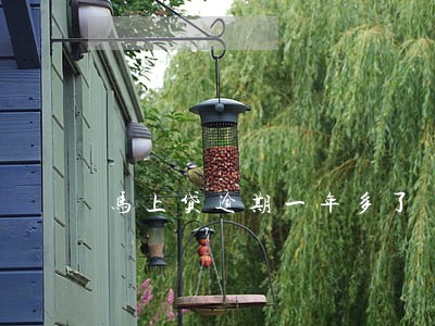 马上贷逾期一年多了 马上贷逾期一年多了