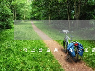 马上贷逾期一年未还款 马上贷逾期一年未还款