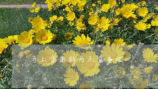 马上贷逾期两天没事吧 马上贷逾期两天没事吧
