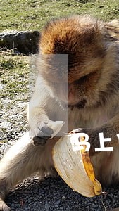 马上贷逾期两年会上征信吗 马上贷逾期两年会上征信吗