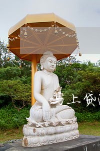 马上贷逾期了怎么不催收了 马上贷逾期了怎么不催收了