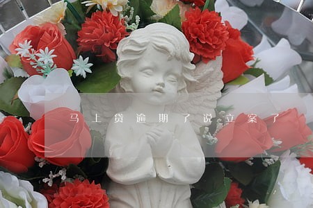 马上贷逾期了说立案了 马上贷逾期了说立案了