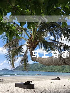 马上贷逾期会上征信 马上贷逾期会上征信