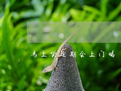 马上贷逾期会上门吗 马上贷逾期会上门吗
