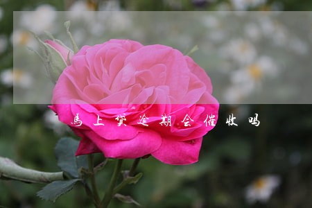 马上贷逾期会催收吗 马上贷逾期会催收吗