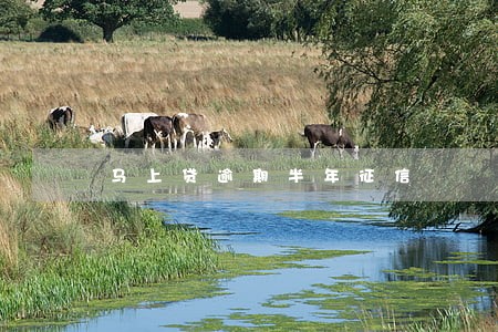 马上贷逾期半年征信