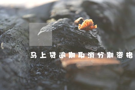 马上贷逾期取消分期资格 马上贷逾期取消分期资格