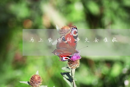 马上贷逾期多久会催收