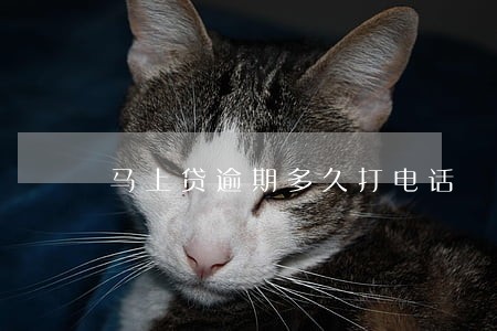 马上贷逾期多久打电话 马上贷逾期多久打电话
