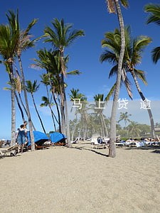 马上贷逾期多久联系家庭 马上贷逾期多久联系家庭