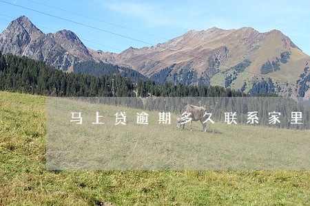 马上贷逾期多久联系家里人