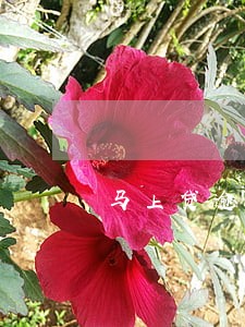 马上贷逾期有没有上门催收的 马上贷逾期有没有上门催收的