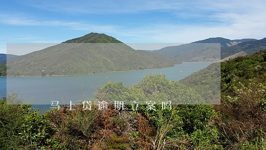 马上贷逾期立案吗
