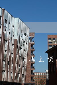 马上贷逾期能做安逸花吗 马上贷逾期能做安逸花吗