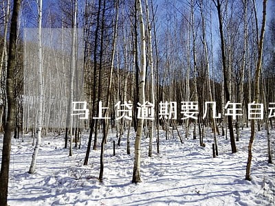 马上贷逾期要几年自动消除 马上贷逾期要几年自动消除