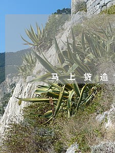 马上贷逾期说要上门 马上贷逾期说要上门