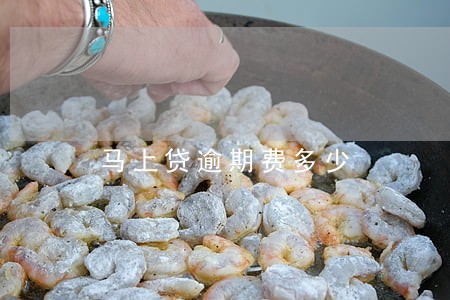 马上贷逾期费多少 马上贷逾期费多少