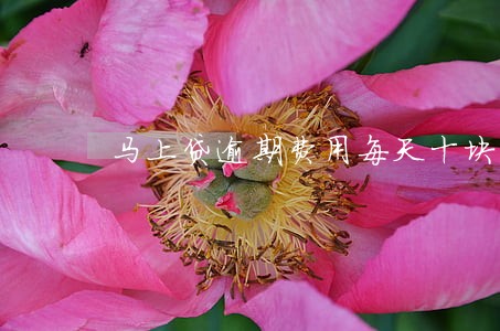马上贷逾期费用每天十块钱 马上贷逾期费用每天十块钱