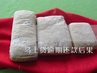 马上贷逾期还款后果 马上贷逾期还款后果