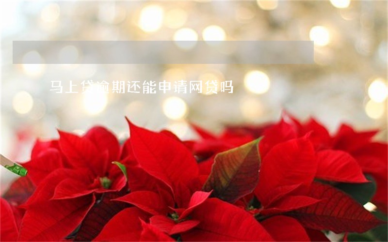 马上贷逾期还能申请网贷吗 马上贷逾期还能申请网贷吗