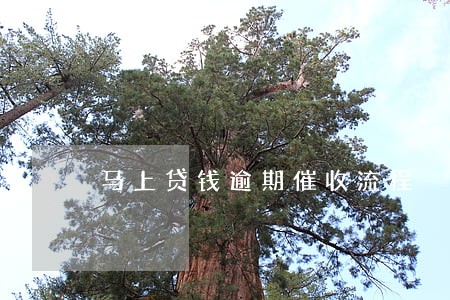 马上贷钱逾期催收流程 马上贷钱逾期催收流程