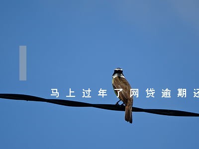 马上过年了网贷逾期还不上怎么办 马上过年了网贷逾期还不上怎么办