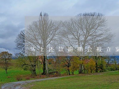 马上还款逾期会被立案吗 马上还款逾期会被立案吗