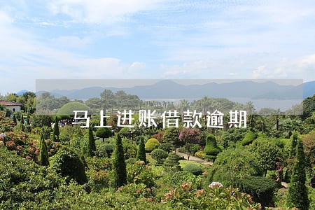 马上进账借款逾期 马上进账借款逾期