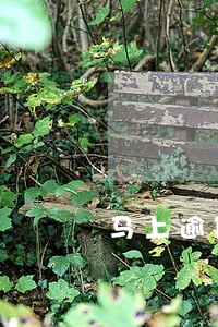 马上逾期一个月 马上逾期一个月