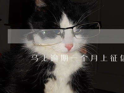 马上逾期一个月上征信 马上逾期一个月上征信