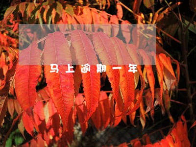 马上逾期一年 马上逾期一年