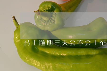 马上逾期三天会不会上征信 马上逾期三天会不会上征信