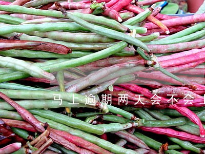 马上逾期两天会不会上征信 马上逾期两天会不会上征信