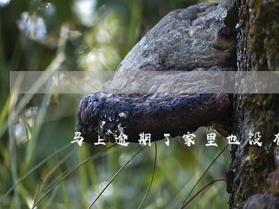 马上逾期了家里也没有钱怎么办 马上逾期了家里也没有钱怎么办