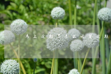 马上逾期了怎么设置近期的通讯录